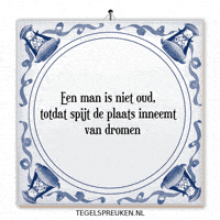 Humor Nl GIF by Tegelspreuken.nl