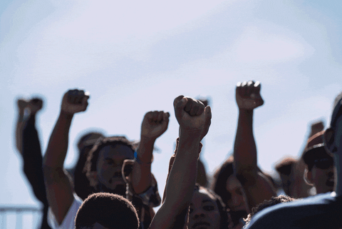 black power protest GIF by The Undefeated