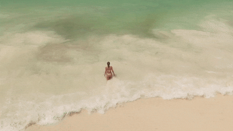 Summer Beach GIF by DEEPSYSTEM