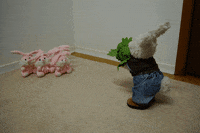 bunny bowling GIF by Zackary Rabbit