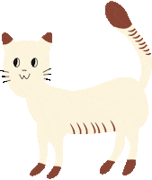 Happy Cat Sticker