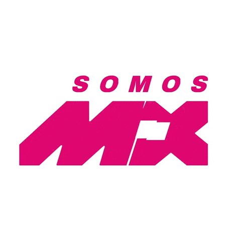 Politica Somos GIF by somosmexico