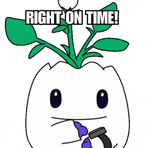 Hurry Up Waiting GIF by Magic Eden