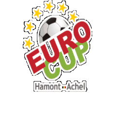 Euro-Sportring football belgium euro cup esr Sticker