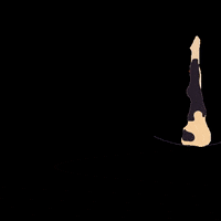 vistabhava yoga bhava vistabhava GIF