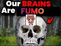 Shrinking Touhou Project GIF