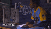 Writes Tampa Bay Rays GIF by MLB