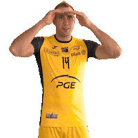Atanasijevic Sticker by PGE Skra Bełchatów