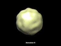 Sh GIF