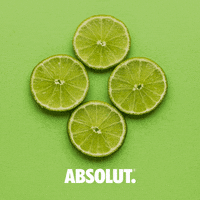 drinks cocktails GIF by Absolut Vodka