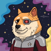 Star Trek Illustration GIF by Doge Pound