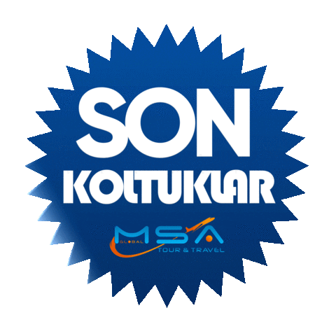 Msa Sticker by msatour