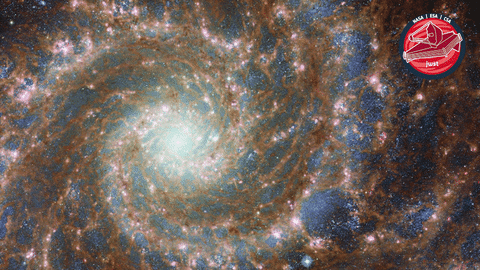 James Webb Stars GIF by ESA Webb Space Telescope