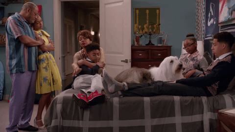 blackish GIF by ABC Network