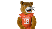 Football Go Coogs Sticker by University of Houston