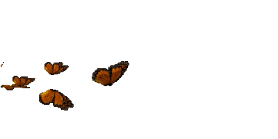 Mariposaslabastilla Sticker by ChocolatesJet