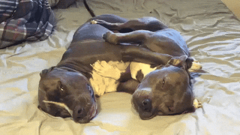 cuddles wiggles GIF