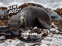 You Can Wow GIF by FranchiseONE.de