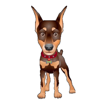 Rocco Sticker by DreamTeamMovers