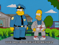 homer simpson GIF