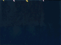 animation sustanciaproject GIF by EmiLi