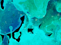 animation sustanciaproject GIF by EmiLi