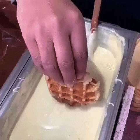 yj_jane giphygifmaker GIF