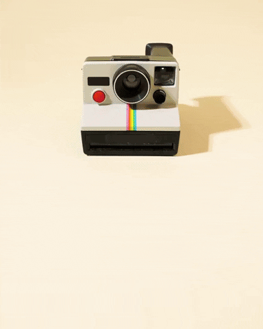 Stop Motion Polaroid GIF by Evan Hilton