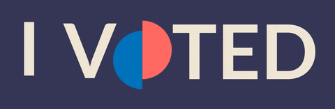 Vote GIF by Canava