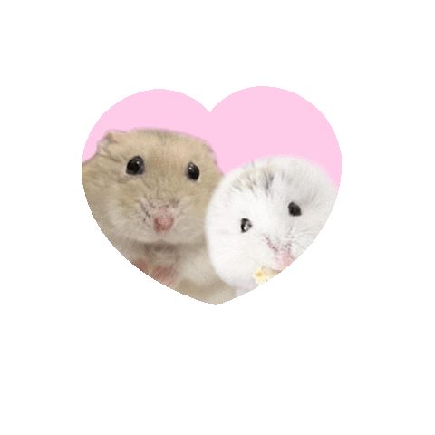 Hamster Sticker