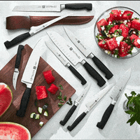 zwilling_usa  GIF