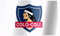 mvikedu colo centenario albo colocolo GIF
