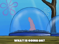 season 8 episode 13 GIF by SpongeBob SquarePants