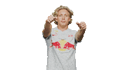 Football Driving Sticker by FC Red Bull Salzburg