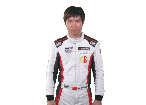 angry touring car Sticker by FIA WTCR