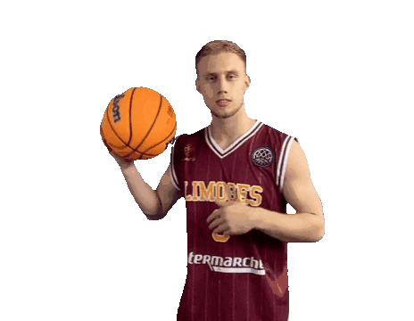 limogescsp1929 bcl csp limoges beyhurst Sticker