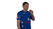 Handball-Bundesliga Sport Sticker by LIQUI MOLY HBL