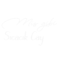 Mnkssonbahar Sticker