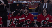 Ice Hockey GIF by NHL
