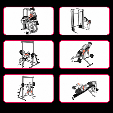 videos de ejercicios animados