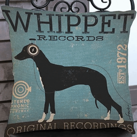 iLoveMyPet giphygifmaker whippet gifts whippet cushion cover whippet records cushion cover GIF