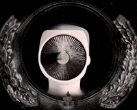 	What Is WALKING BREAD and How Does It Work?