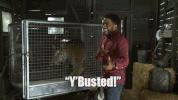 the great indoors mason GIF by CBS