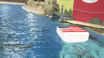 Animals Enjoy Patriotic Treats Ahead of July 4th at Chicago's Brookfield Zoo