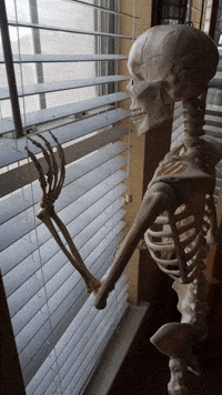 Skeleton Pondering GIF