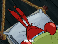 season 5 GIF by SpongeBob SquarePants