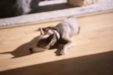 Okay_Decision  GIF