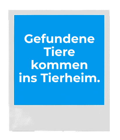 teilzeit tierheim
