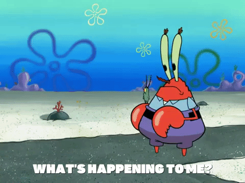 season 4 GIF by SpongeBob SquarePants