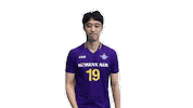 Volleyball Vleague Sticker by kovopr